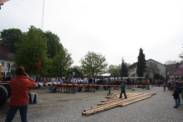 Maibaum 2013
